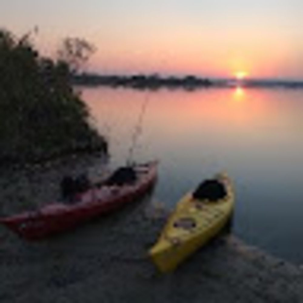 Meet your Posher, Theresa